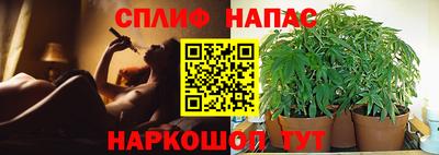 спайс Новодвинск