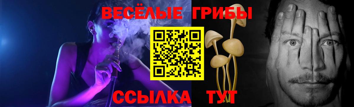 Галлюциногенные грибы GOLDEN TEACHER Торжок